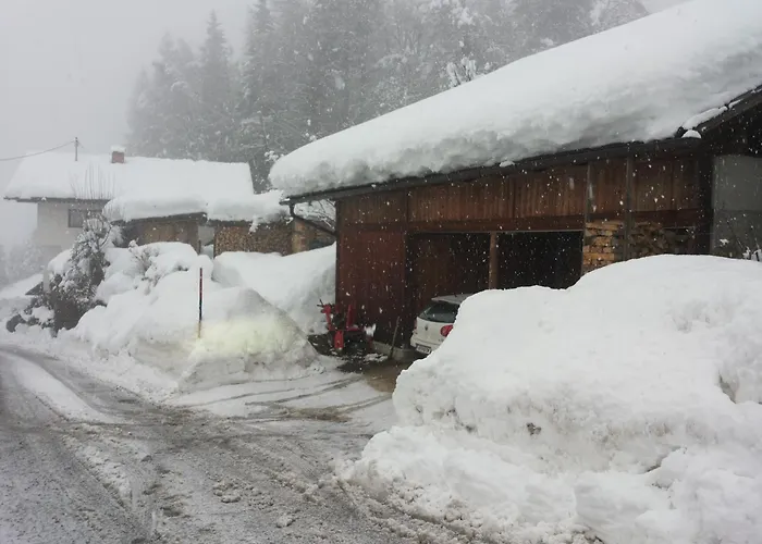 Apartament Lisbeth Ambra